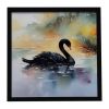 Black Swan Framed Metal Print Bathroom, Kitchen, Office, Home Decor Wall Art Ready to Hang, Square, 8X8